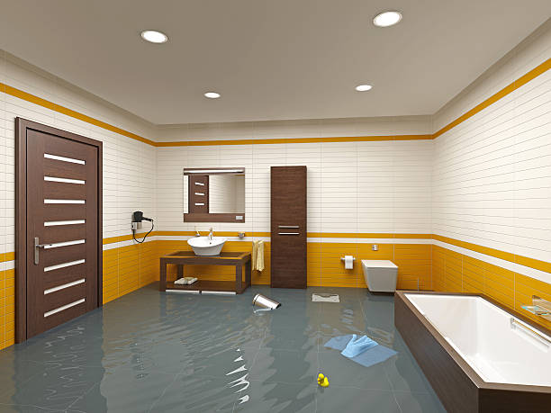 Best Water Damage Insurance Claim Assistance in USA